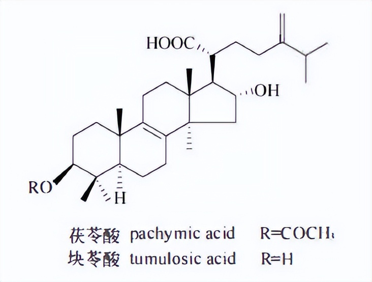 哪些植物含有三萜成分最多,萜烯类物质对植物的功效