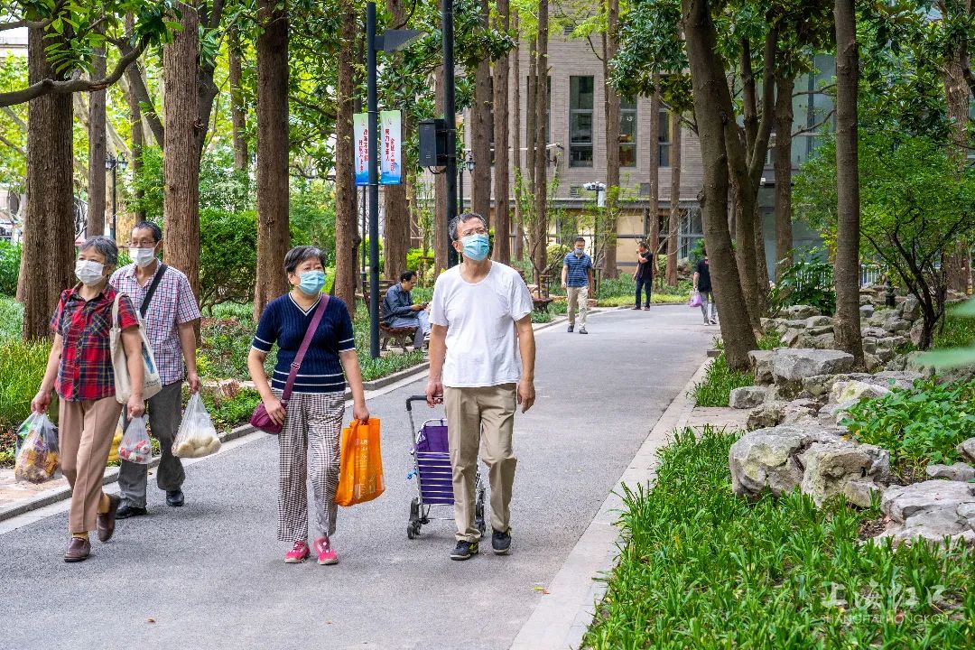 百年鲁迅公园图片大全,鲁迅公园的现状