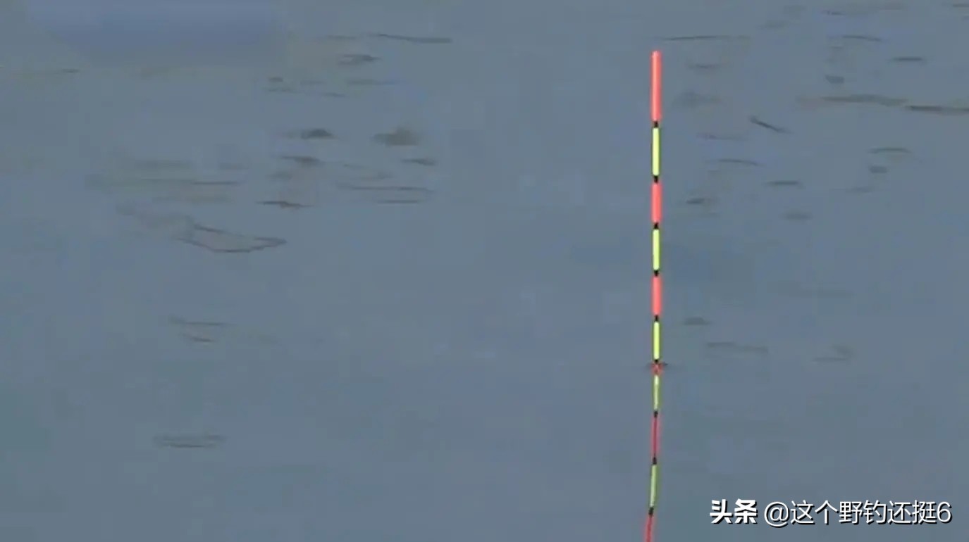 野钓钓鱼技巧选钓位和时间,春末钓鱼技巧选钓位和时间