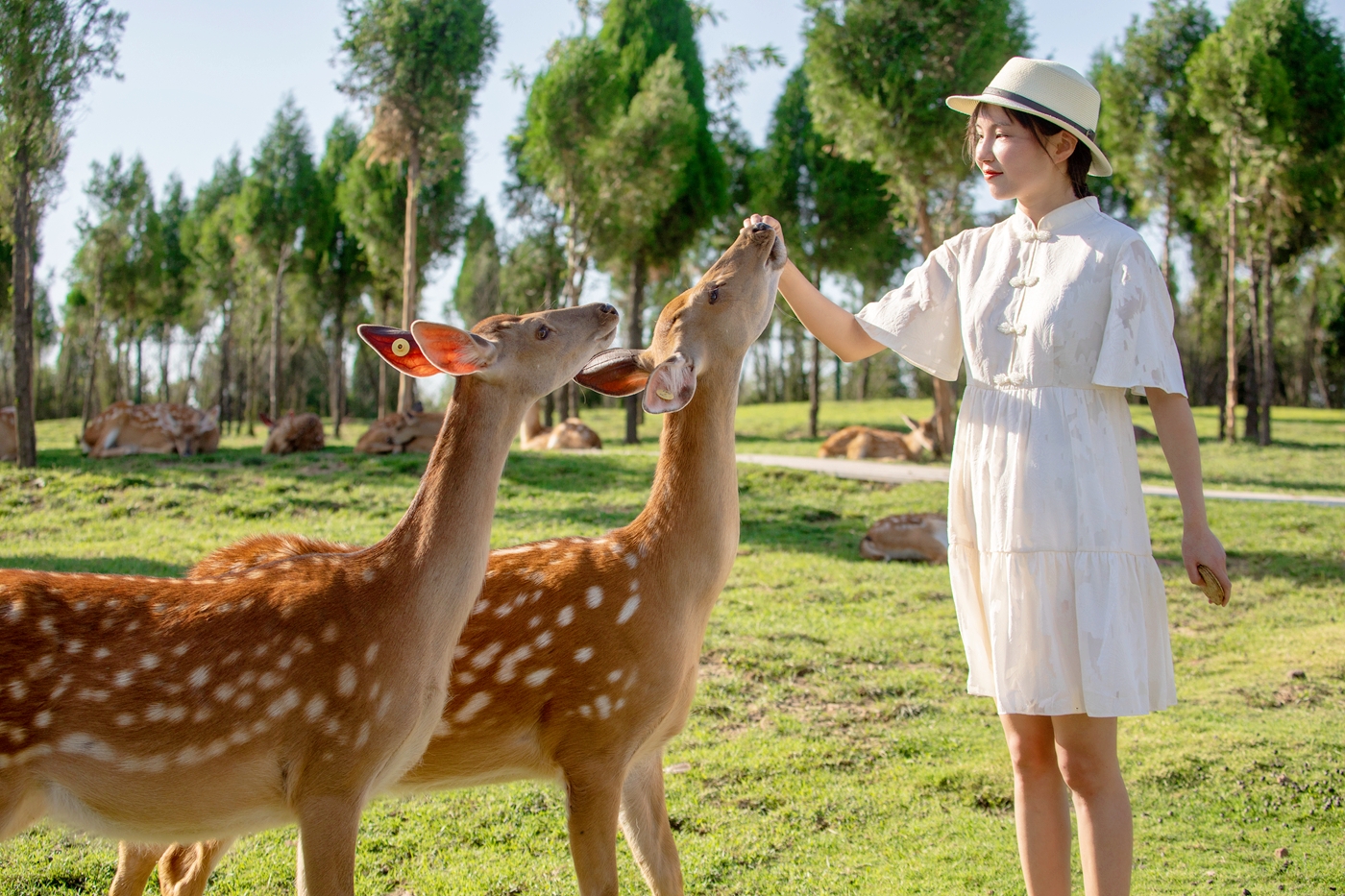 郑州云上牧场打卡攻略,郑州游玩打卡地云上牧场