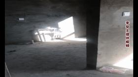 三阳房子属于什么朝向,三阳房属于什么朝向