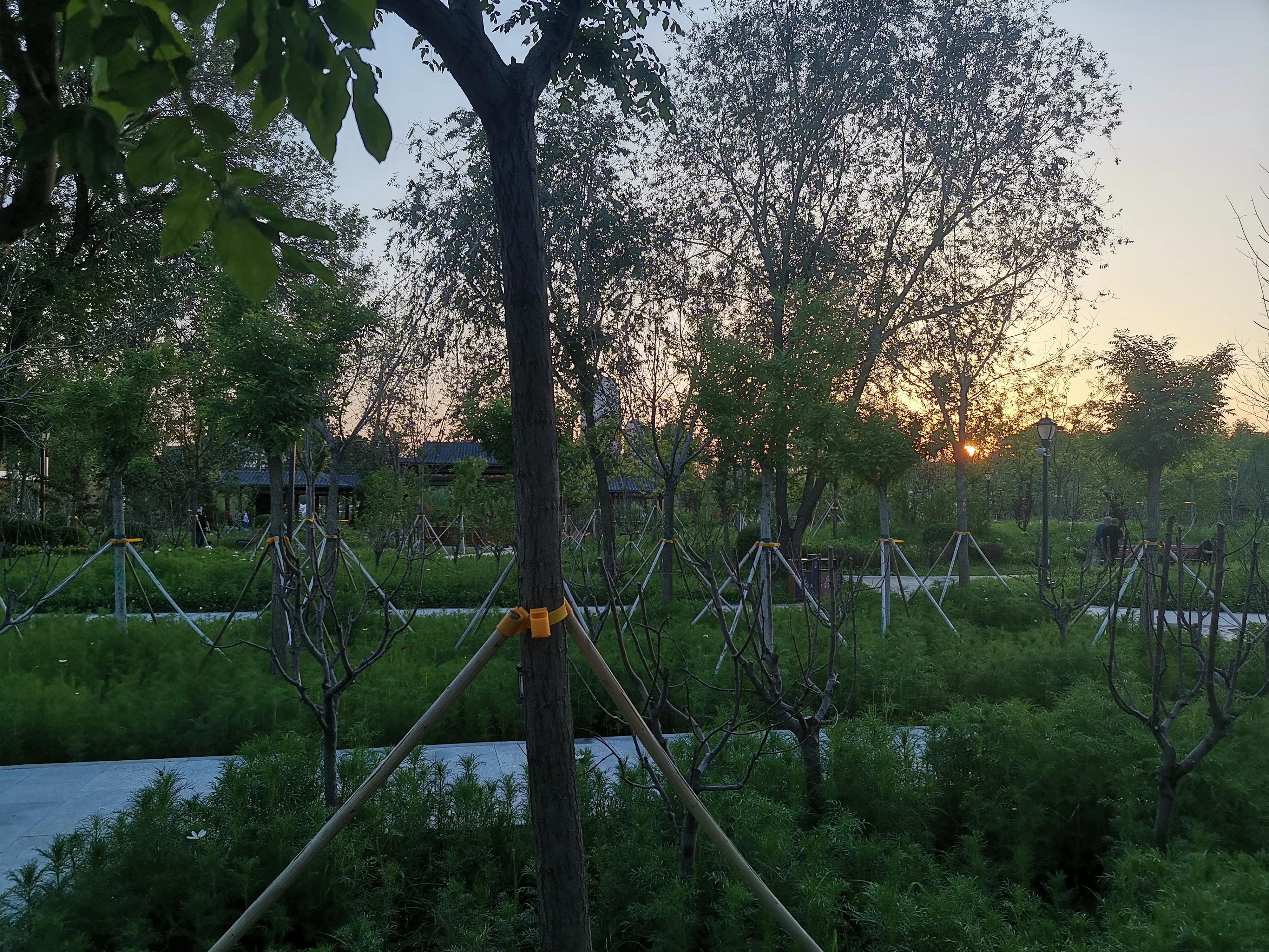 夕阳西下公园美景,夕阳西下的天津美景