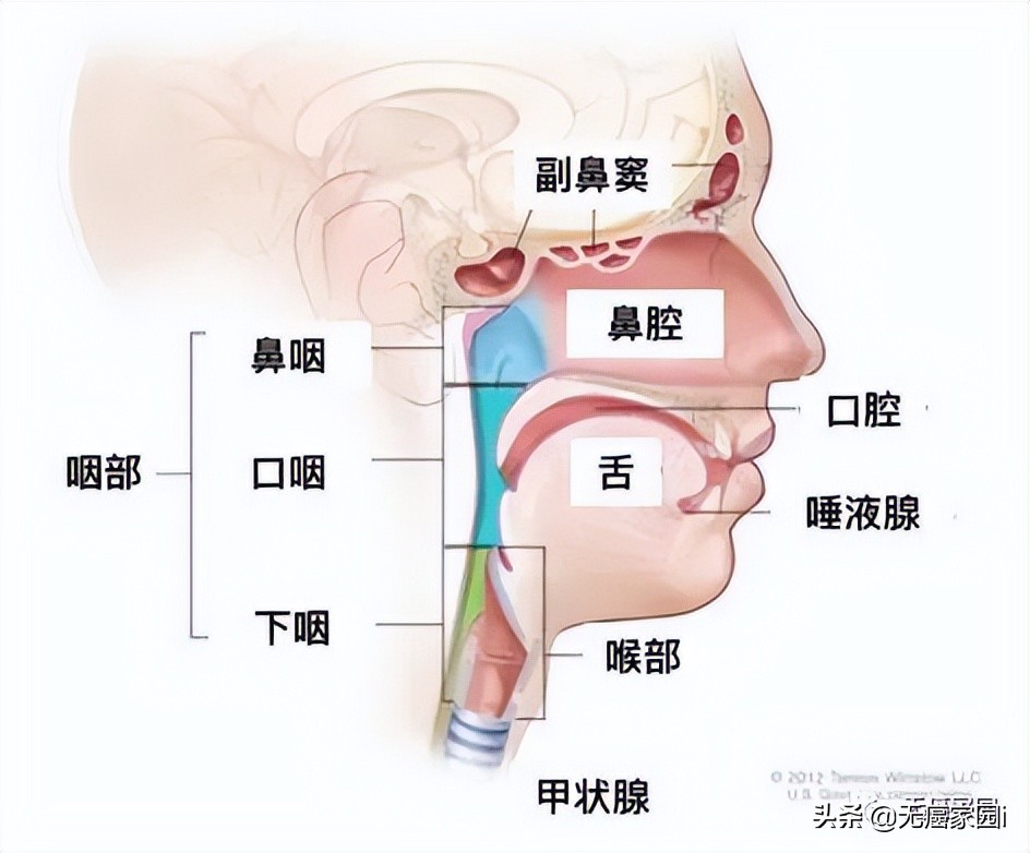 头等大事严防严控,硼中子俘获疗法能彻底治愈癌症吗