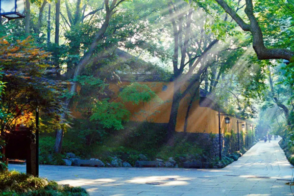 常建晨游破山寺作诗,创造一个经典成语,如今成小学生必背的名篇