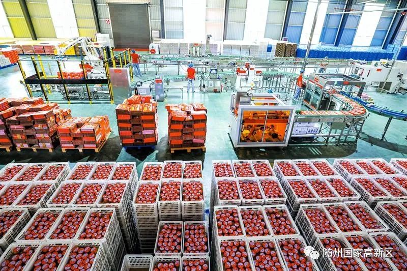 打造招商引资洼地,随州高新区招商引资最新消息