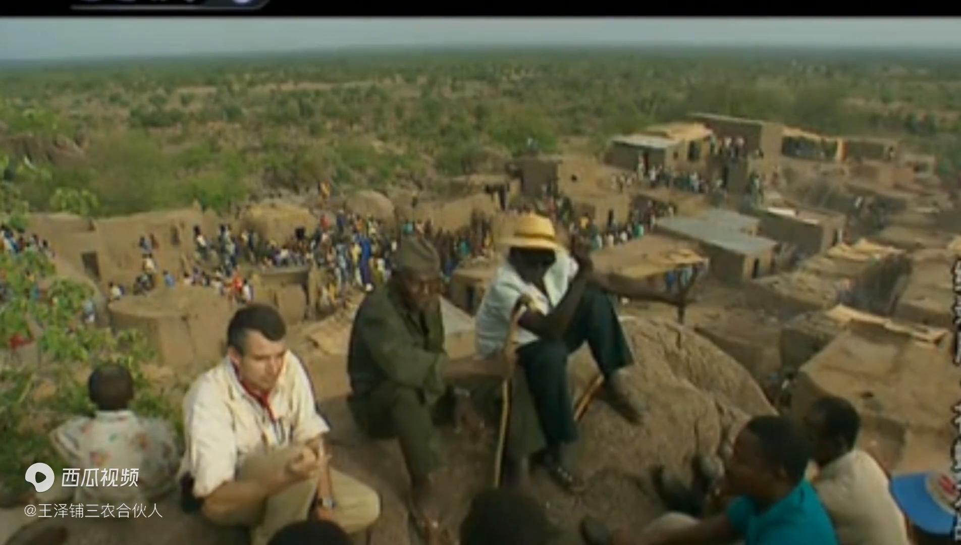 苍蝇大战蚊子,苍蝇大战