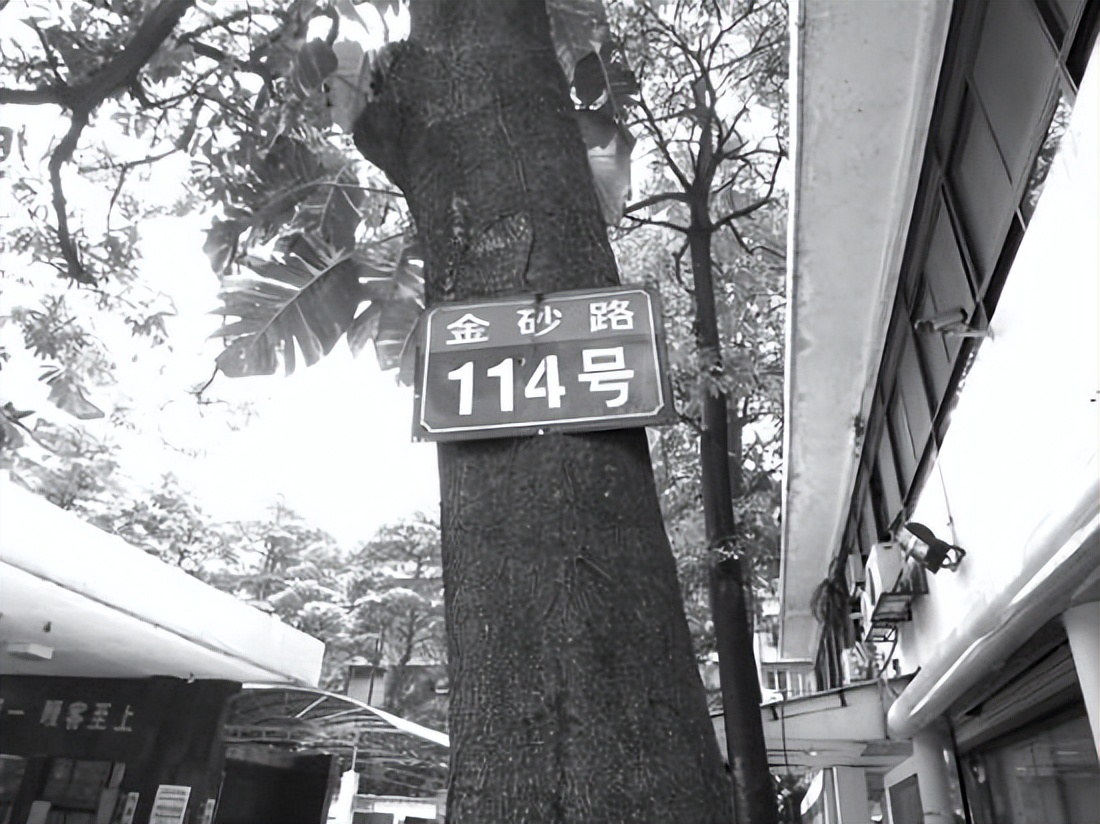 18岁少女意外晕倒有超前记忆,16岁少女突然晕倒