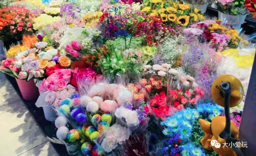 北京最美的花鸟市场,北京值得逛的花鸟市场