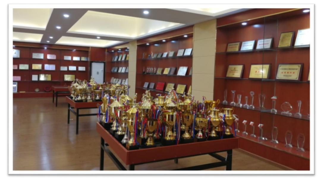 深圳光明高级中学体育场,深圳光明高级中学校队