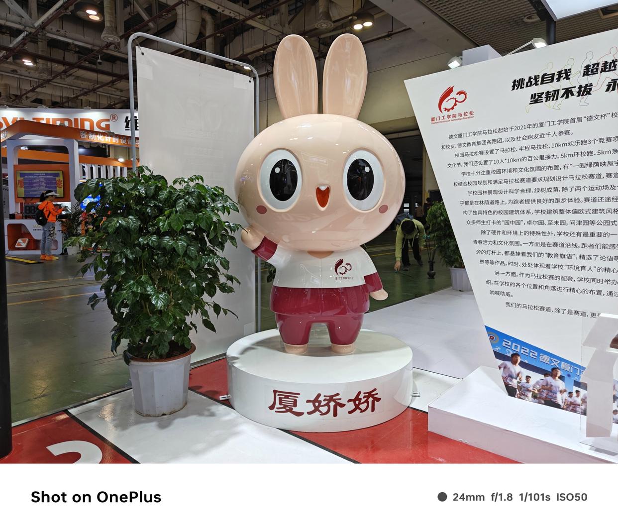 1.5k东方屏,一加ace3深度测评最新