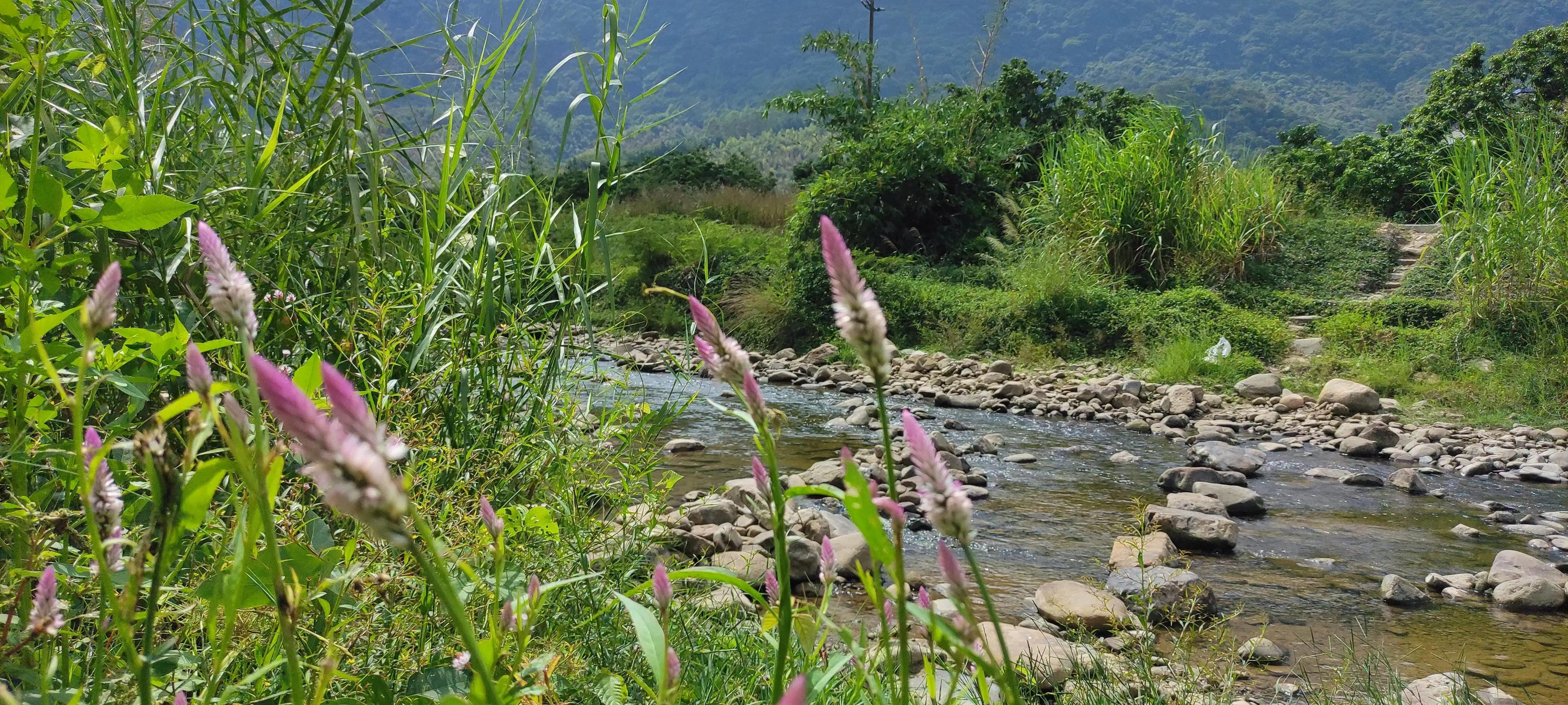 广州从化后花园,从化是广州的后花园吗