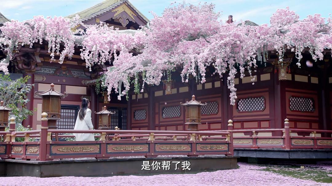 预排暑假档的仙侠剧有哪些,今年夏天火的仙侠剧有哪些