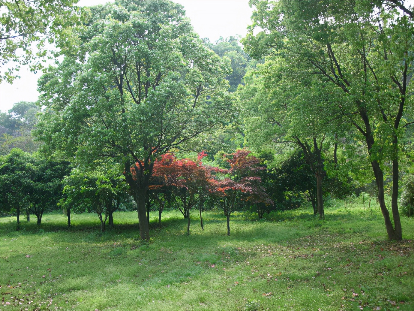 苏州西山岛石公山,苏州石公山