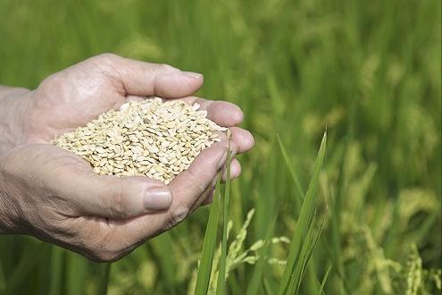 50万日本人来中国山东养老成功没,日本50万来中国养老