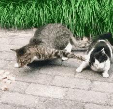 昨晚上喝多了把这个扛回了家，现在酒醒了，我该怎么办？