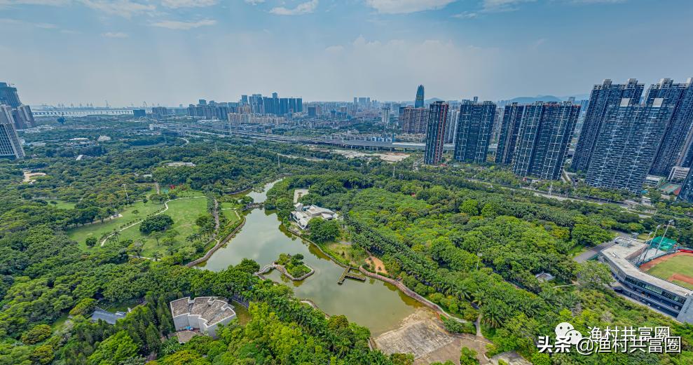 深圳湖景房哪家强?(南山篇)