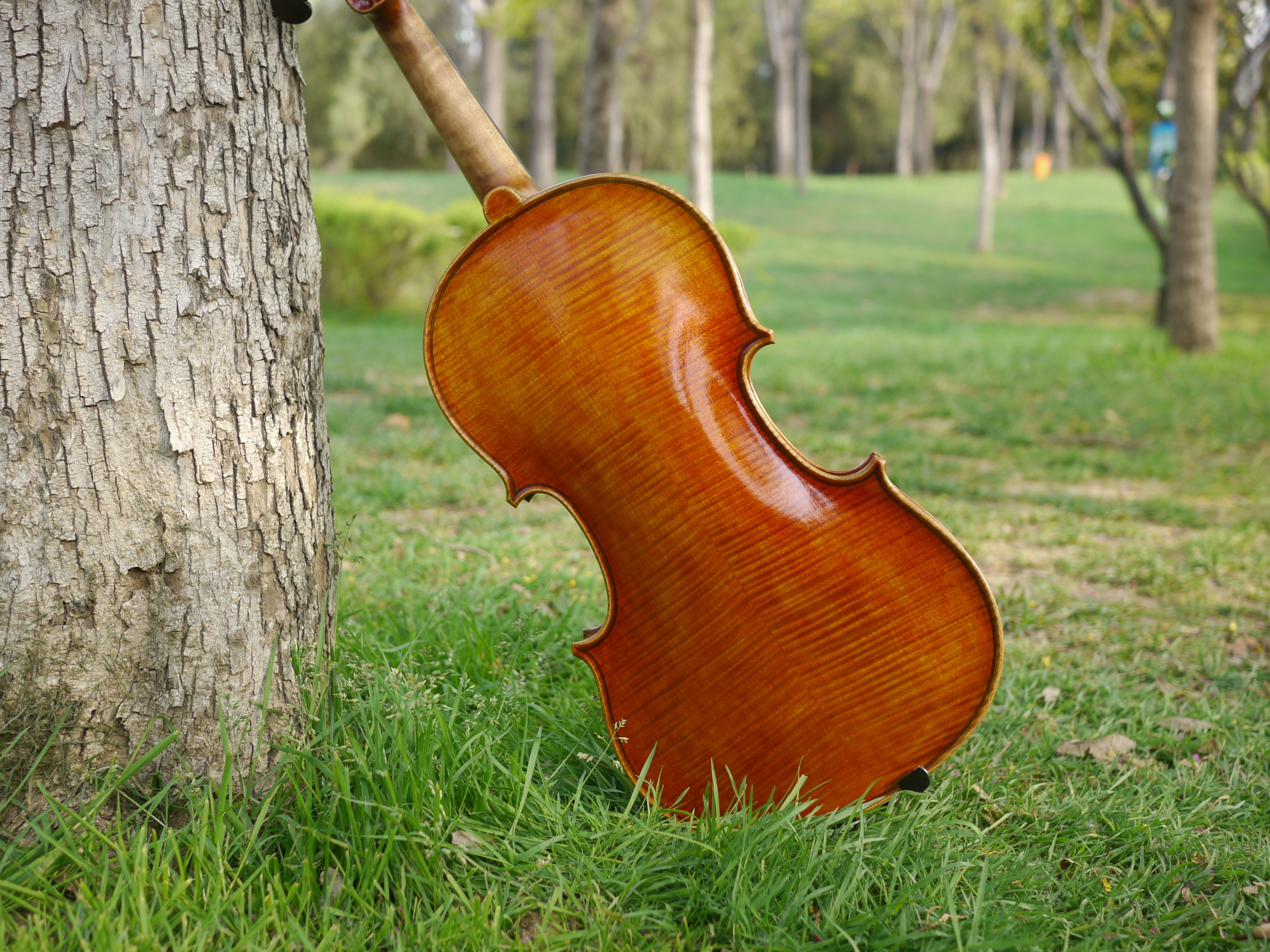 小提琴价格一般多少钱一把,小提琴中等价格一般多少钱一把