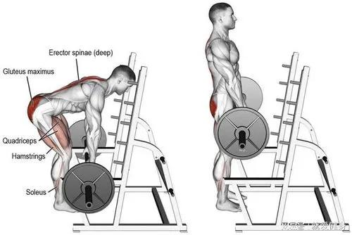一周健身增肌训练计划,哑铃家庭一周训练计划