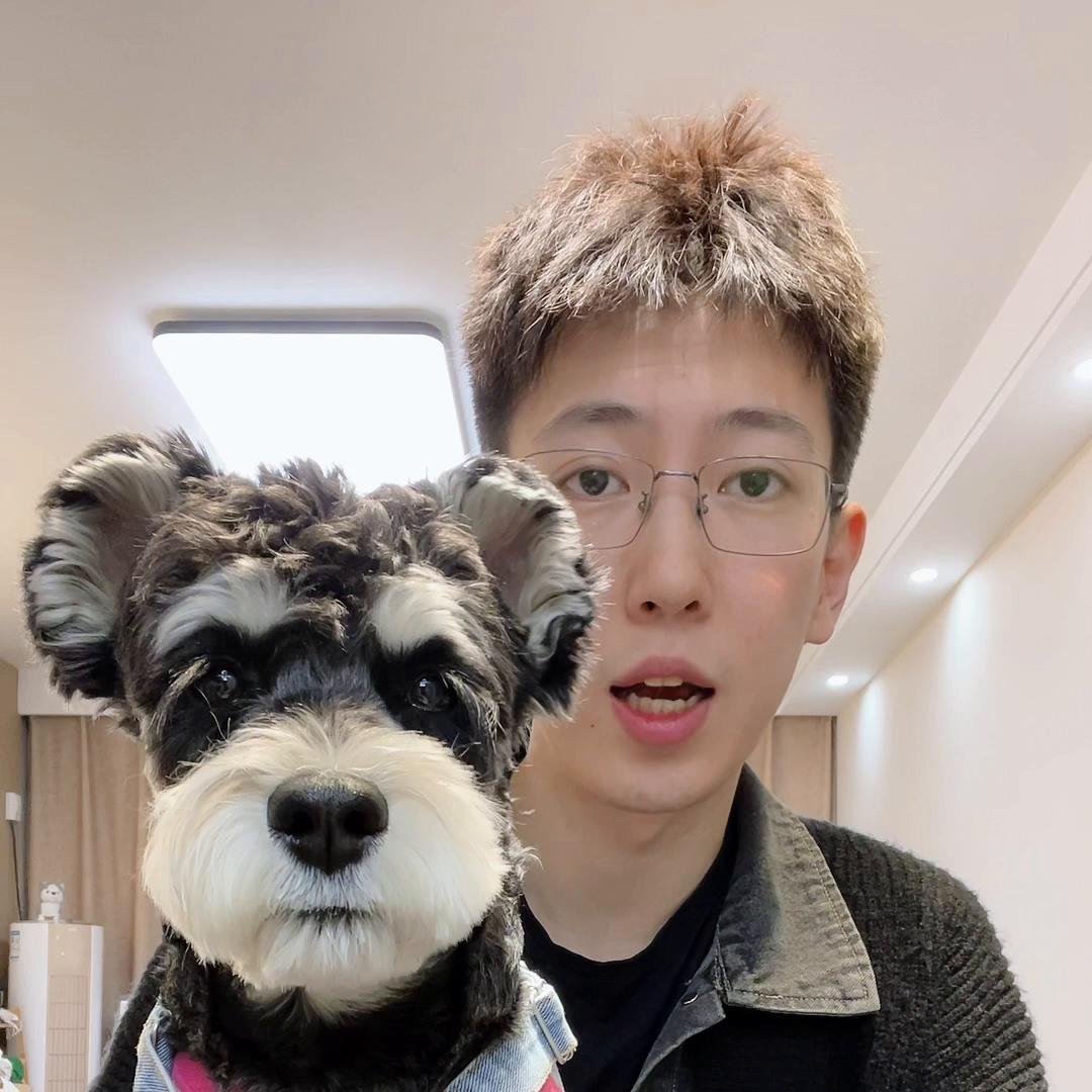 雪纳瑞喂食训练多大开始,白胡子雪纳瑞吃什么