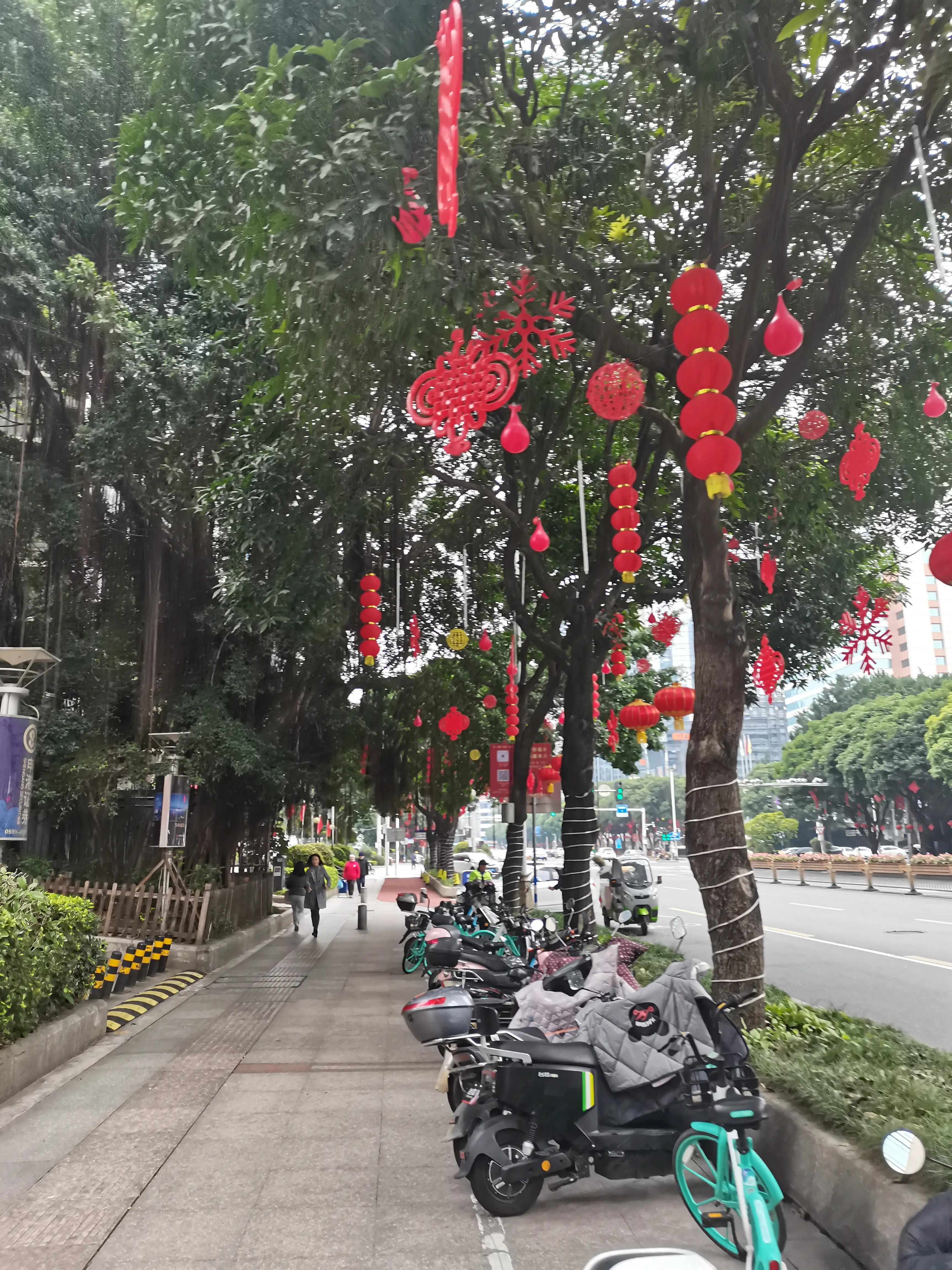 福州郁金香温泉公园,福州花海公园郁金香