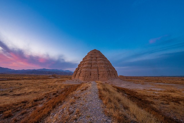 正宗宁夏红枸杞风景,宁夏红色枸杞