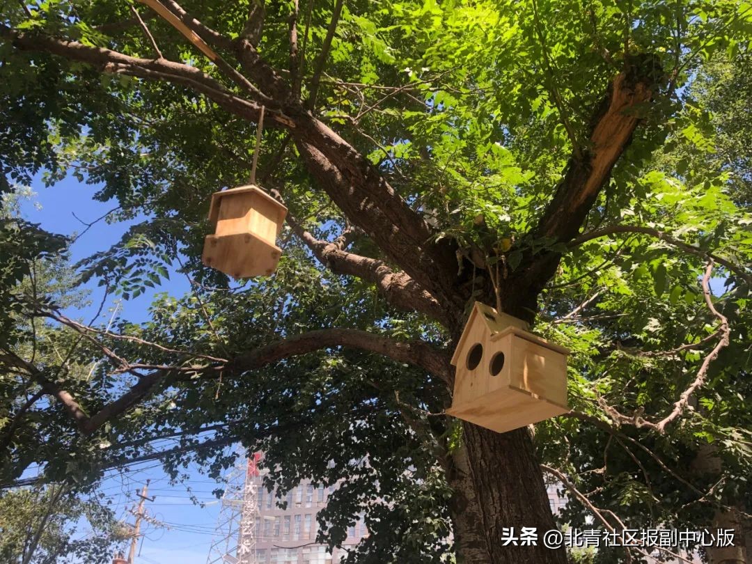 通州室内儿童亲子乐园,通州遛娃宋庄