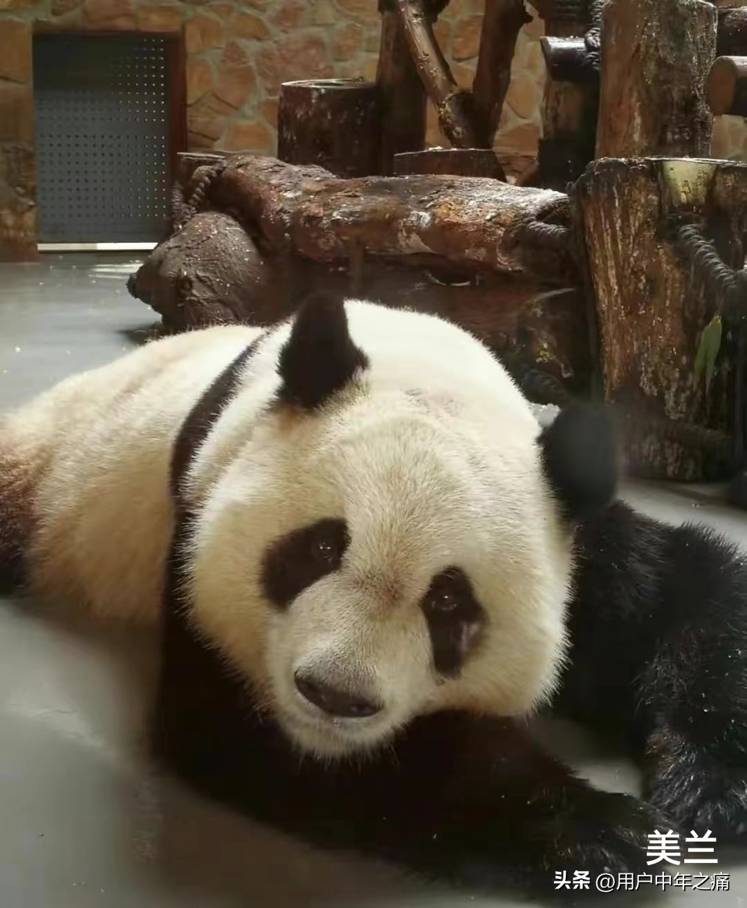 天之骄女是哪一年的,天之骄女重生归来小说