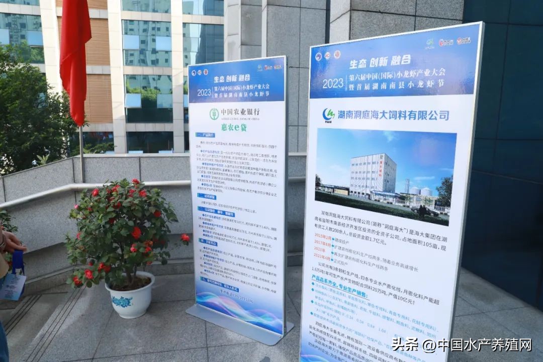 2023年南县小龙虾价格行情,南县小龙虾价格报价