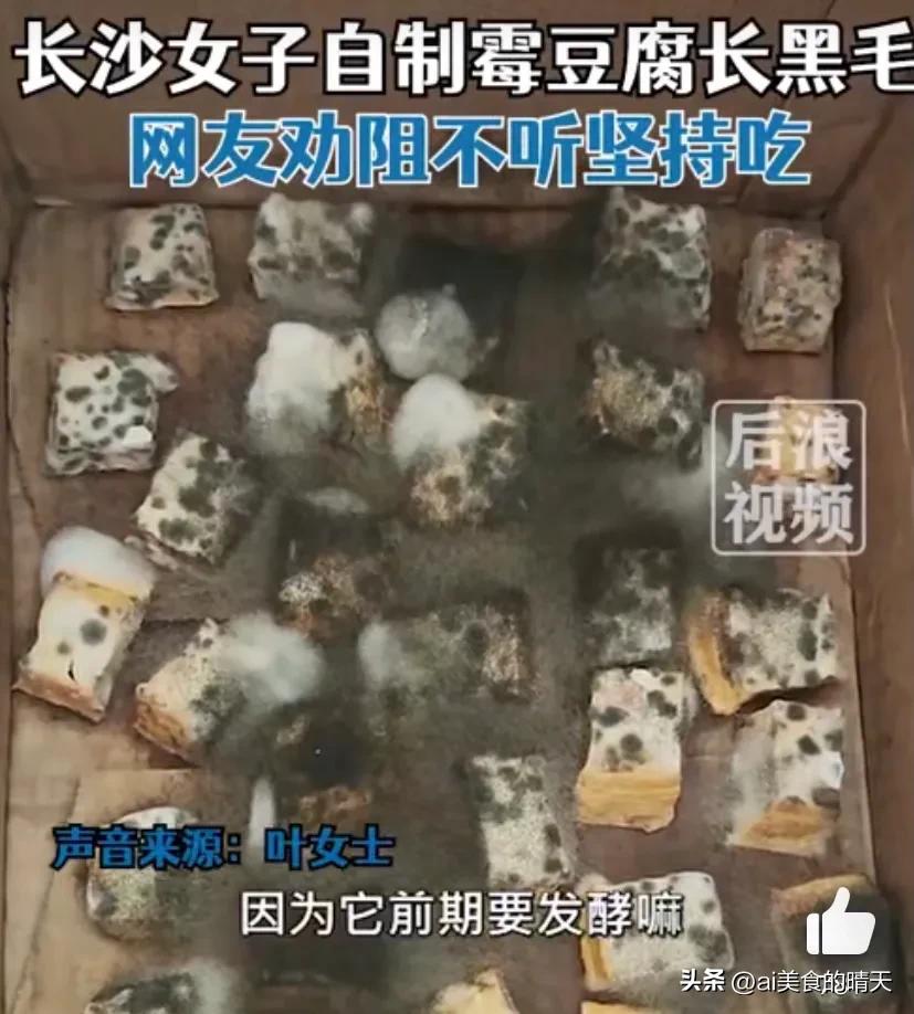 长了黑霉点的豆腐能做豆腐乳吗,豆腐长了黑霉还能吃吗