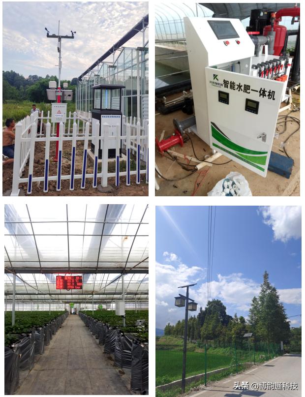 物联网在农业的发展前景摘要,中国提出农业物联网概念是哪一年