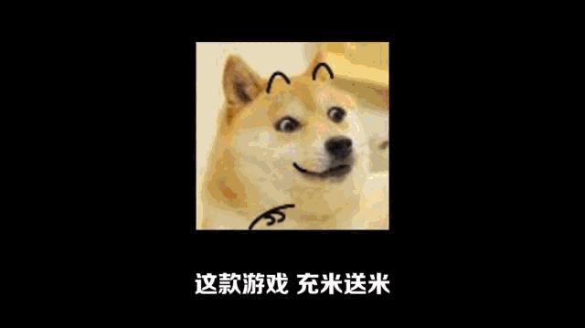 合金弹头全网战力最高,腾讯合金弹头什么枪最厉害