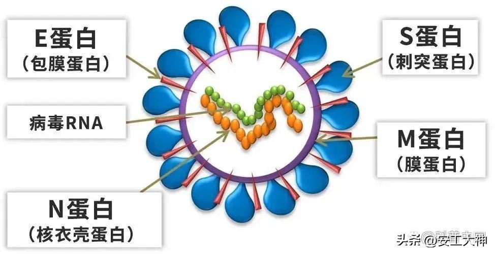疫情正确的自我保护方式,疫情反弹注意保护好自我