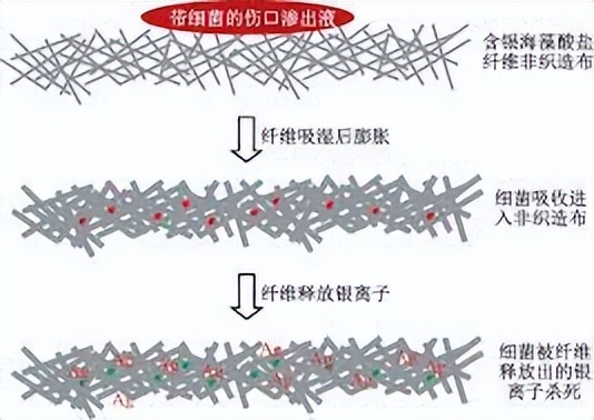 探究银离子浸渍海藻酸盐和水凝胶的制备及其抗菌性能
