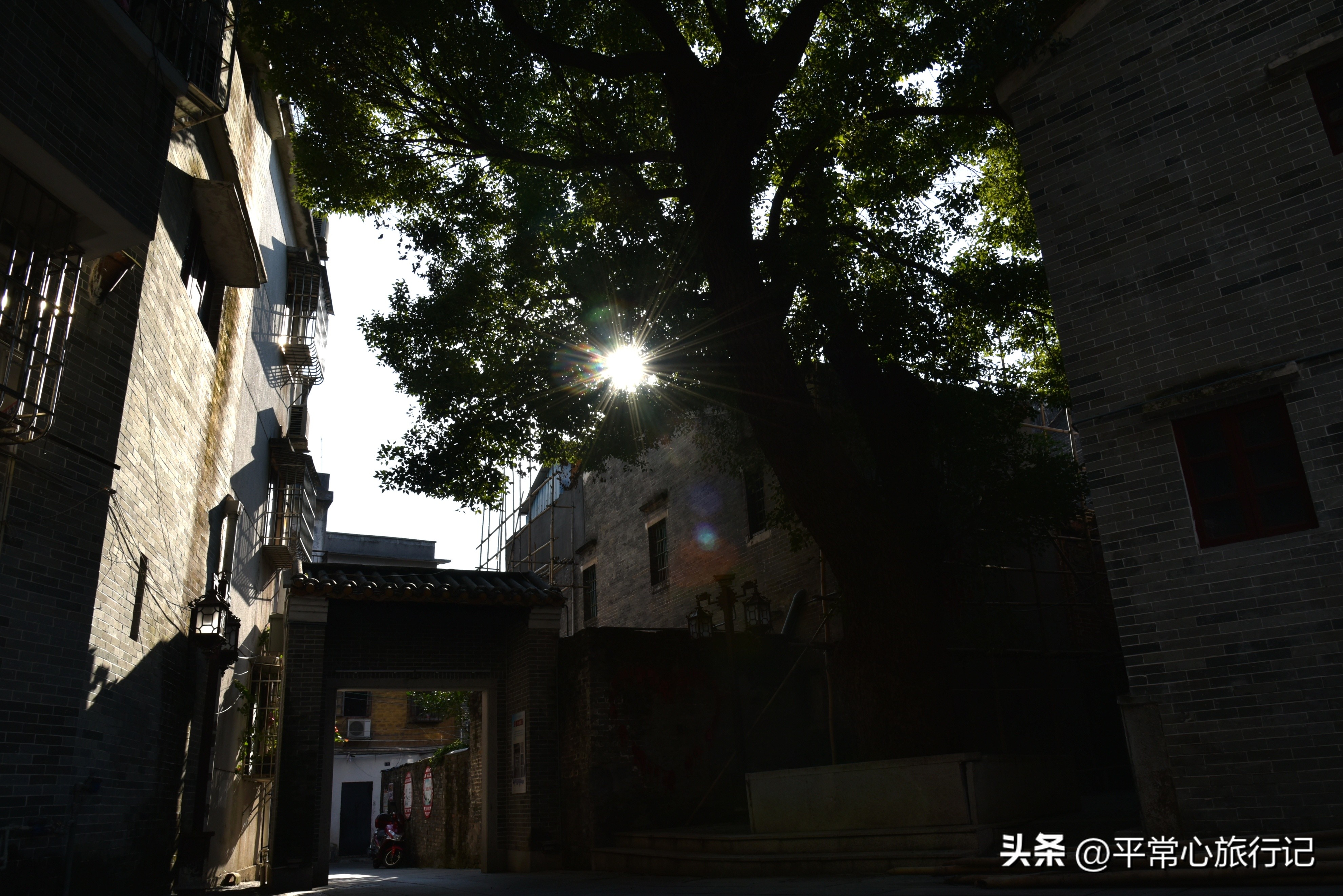 狂飙江门取景地打卡旧厂街,江门三十三墟街景点介绍