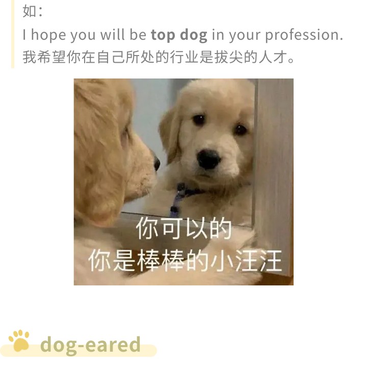 火爆外网的魔性“车座子狗”，究竟是什么梗？