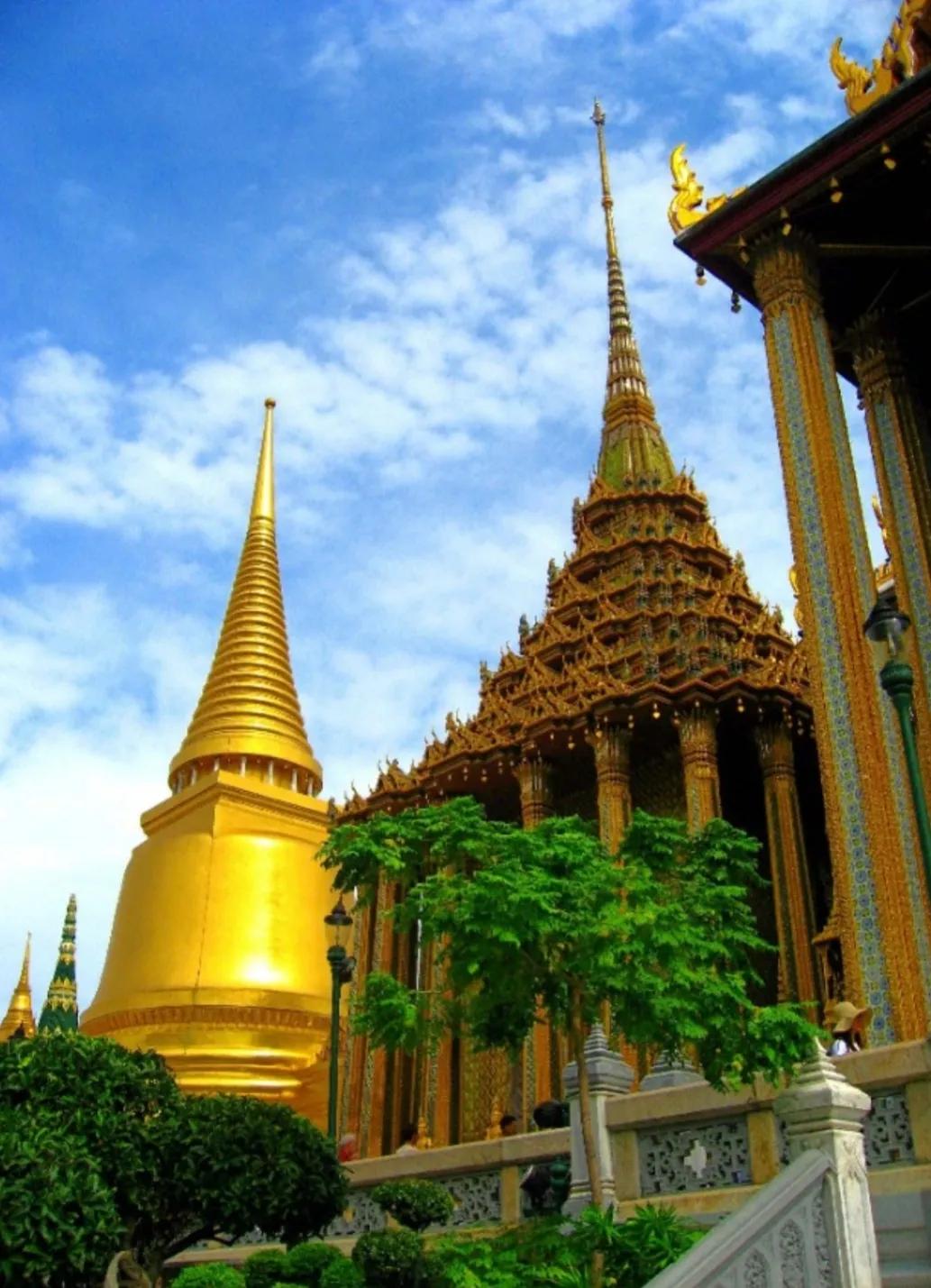 深圳富婆们的生活：离婚富婆沦为被强制执行的老赖（三）