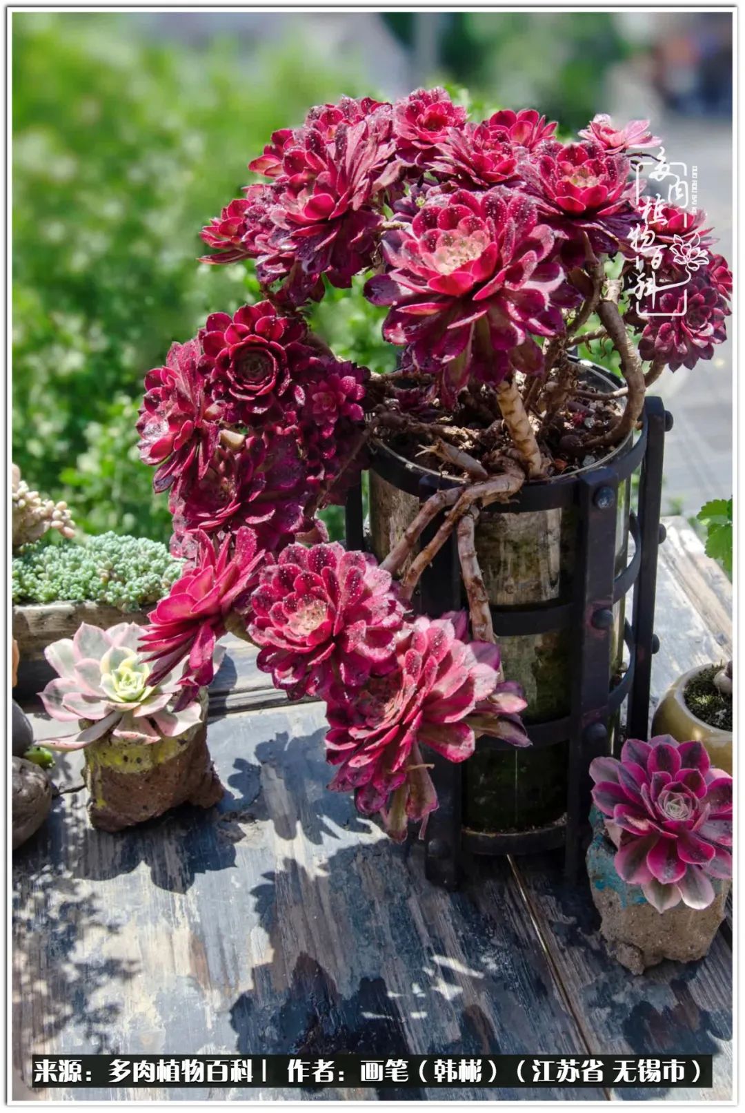 每个人的身旁都要有太阳,每个人都有一颗太阳