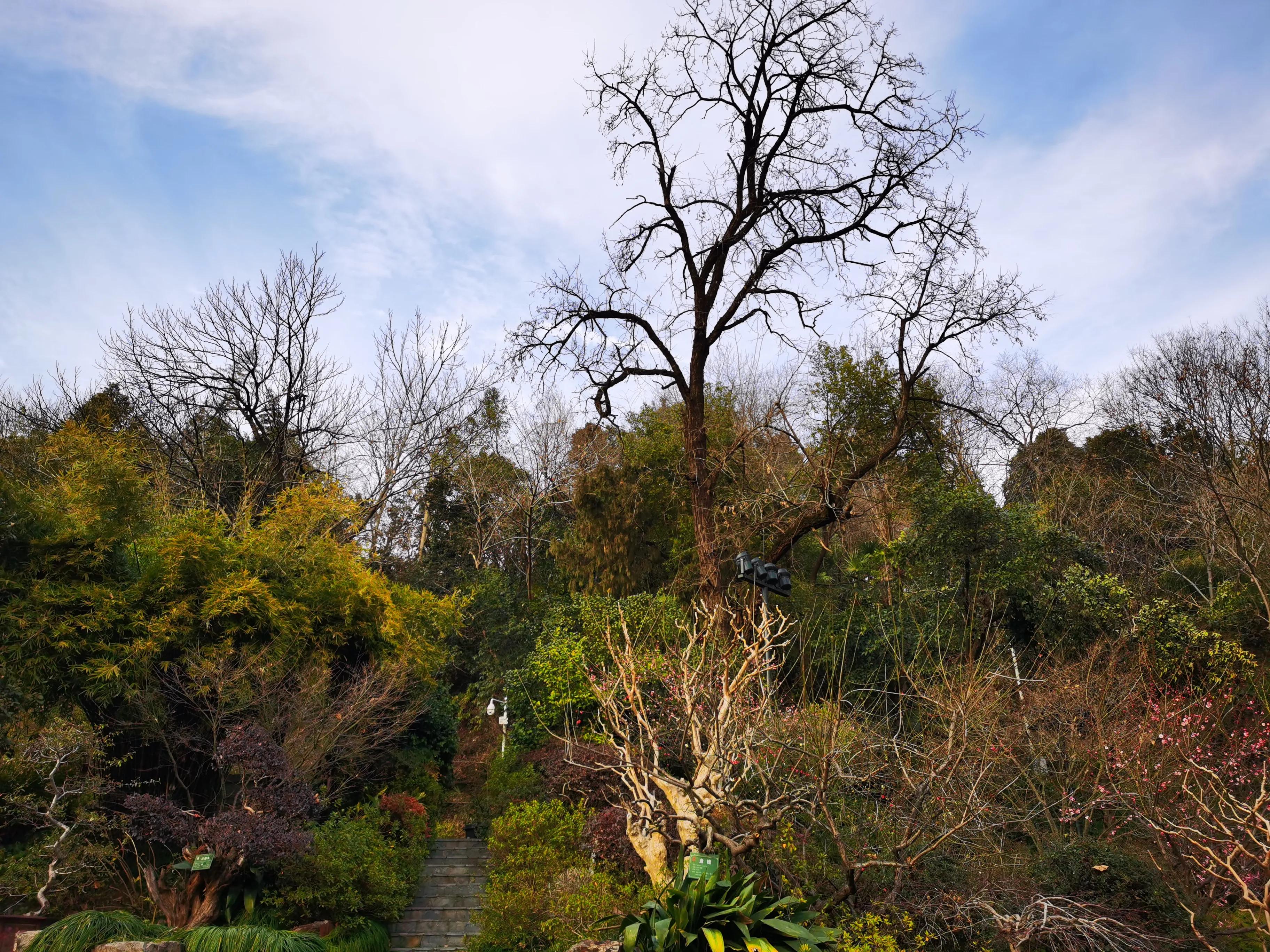 黄鹤楼珍品细支,黄鹤楼外烟