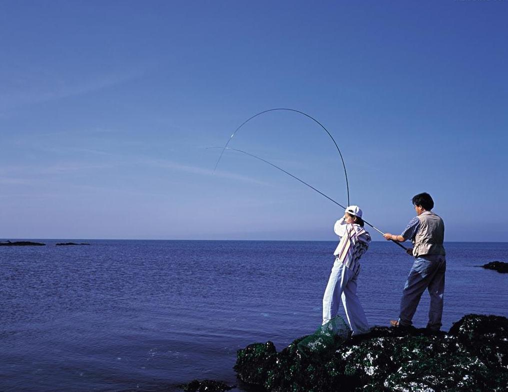 新手钓鱼入门基本知识,水库钓鱼技巧新手入门