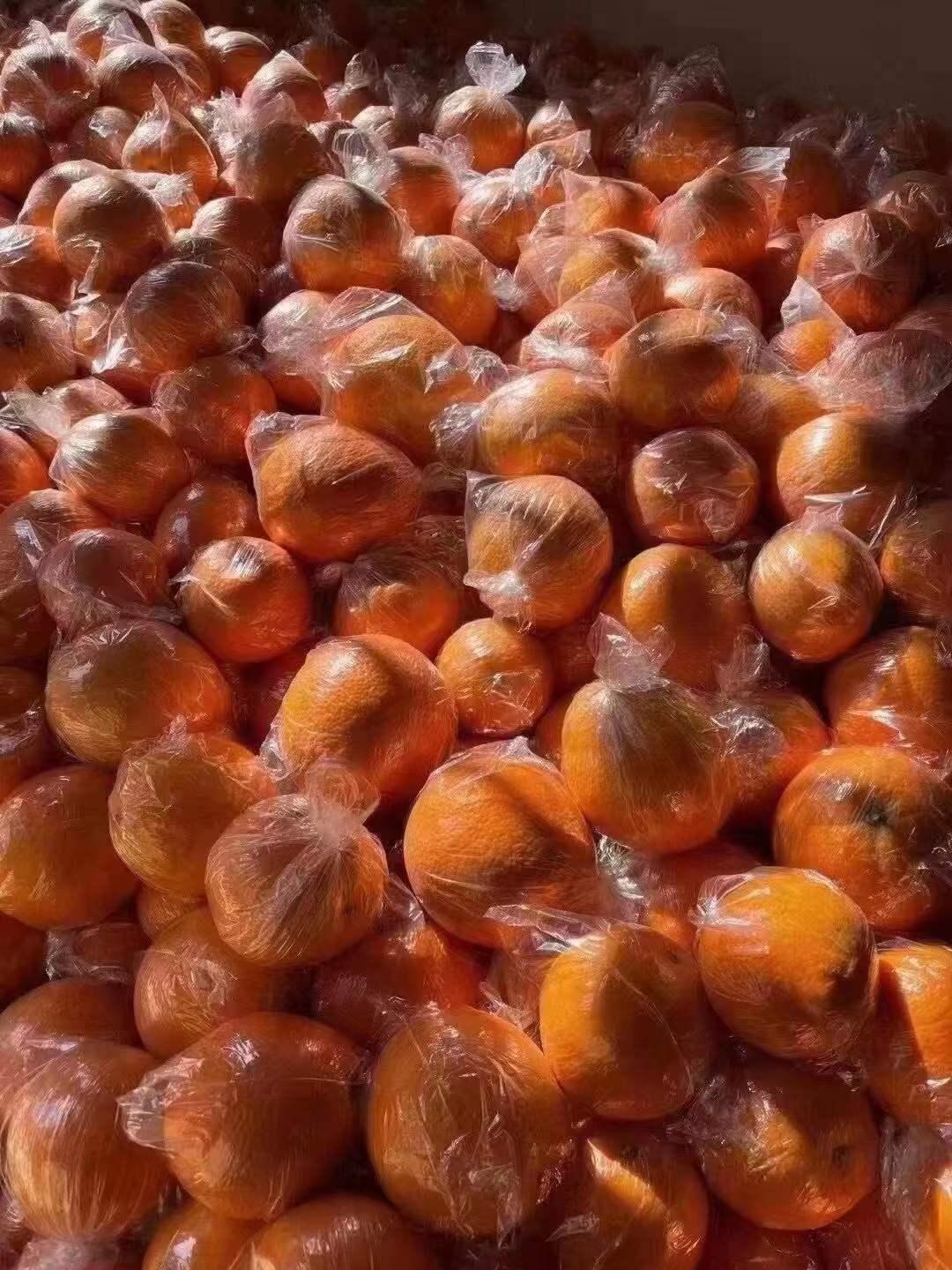 脐橙的保鲜技术有哪些,脐橙保鲜技术视频