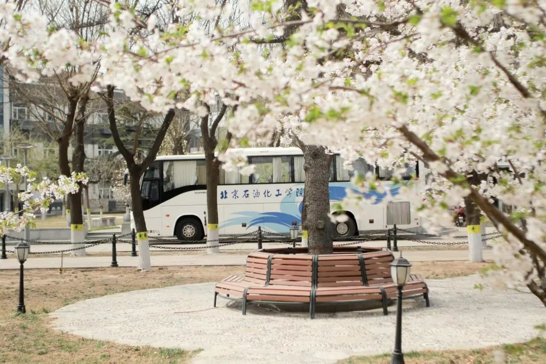 北京石油化工大学世界排名,北京石油化工学院在全国排名榜