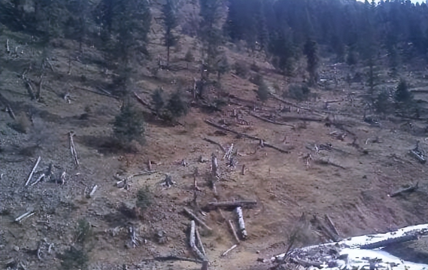 长江造陆面积多大,长江造陆能力对比黄河