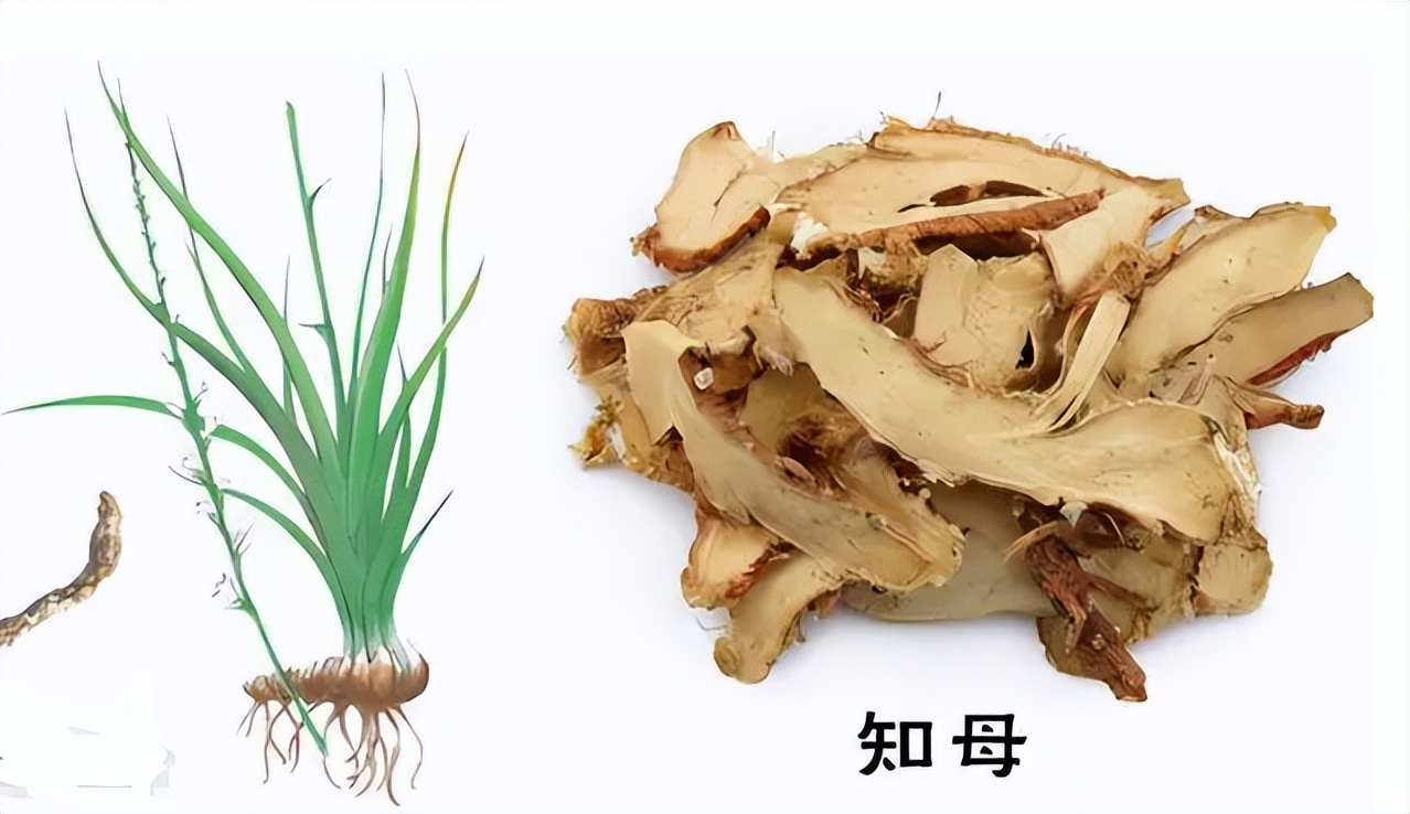 口苦口臭的原因和中药治疗方法,口臭的原因和治疗方法中药调理