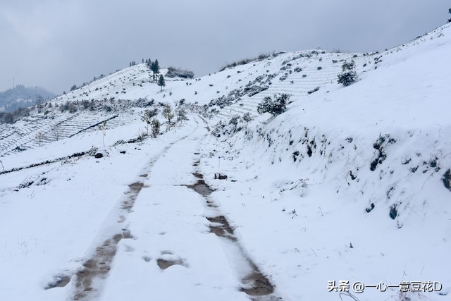 描写腊月二十三的七言诗,腊月街头七言诗