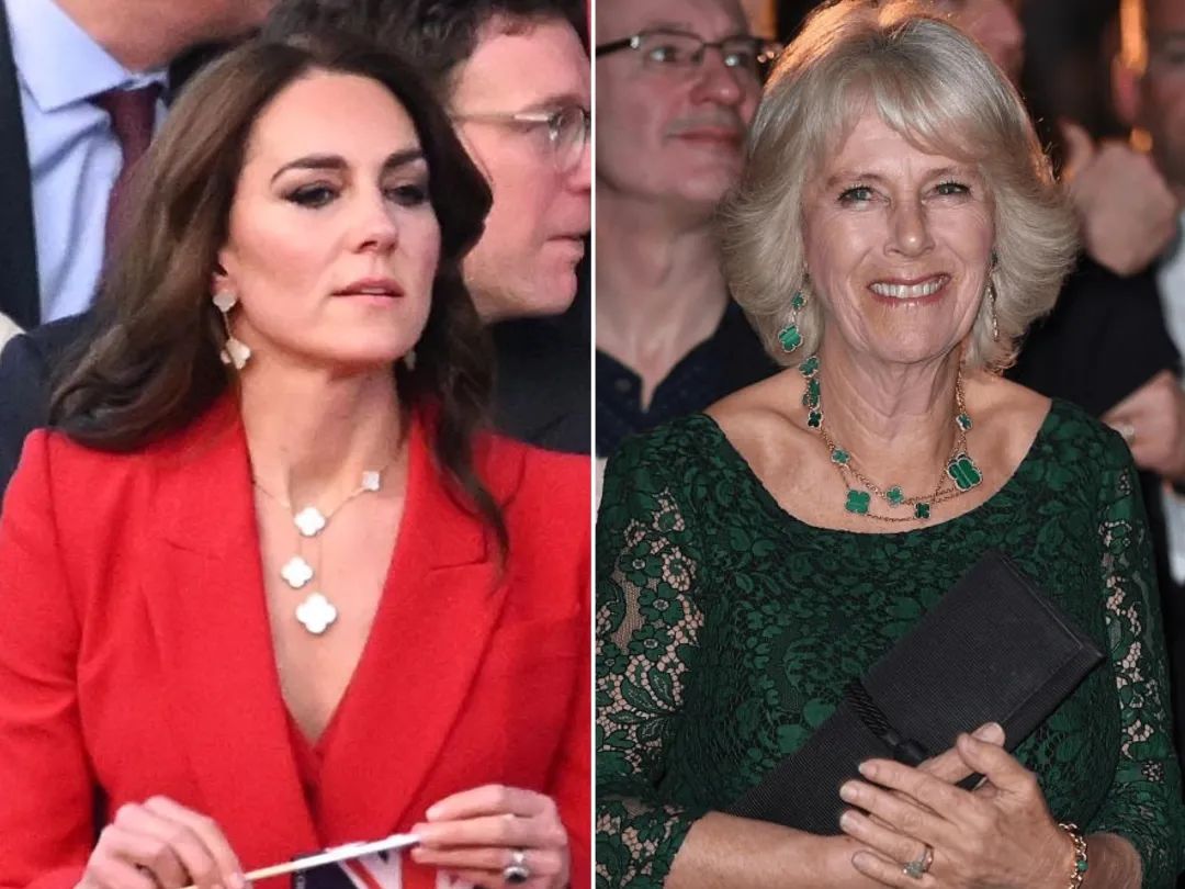 卡米拉出尽风头,卡米拉靠什么被女王认可