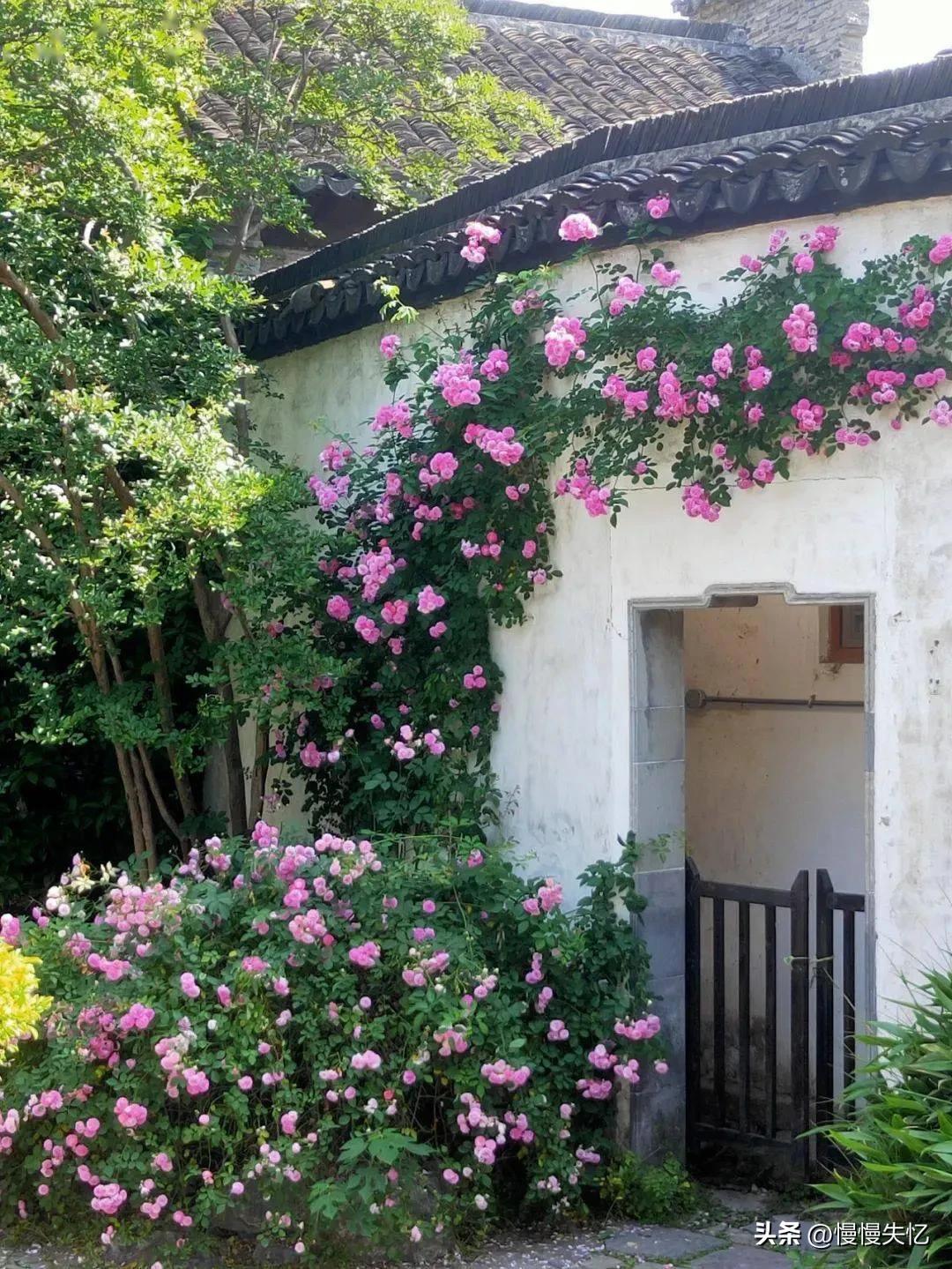 李白意境最美诗,李白五绝诗水平