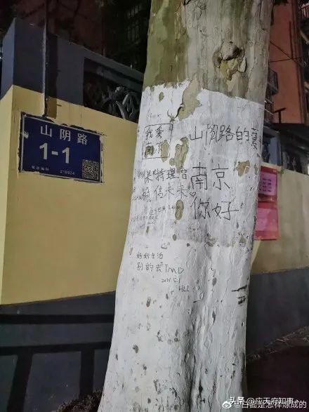 桃叶渡、乌衣巷、白鹭洲……南京那些绝美地名