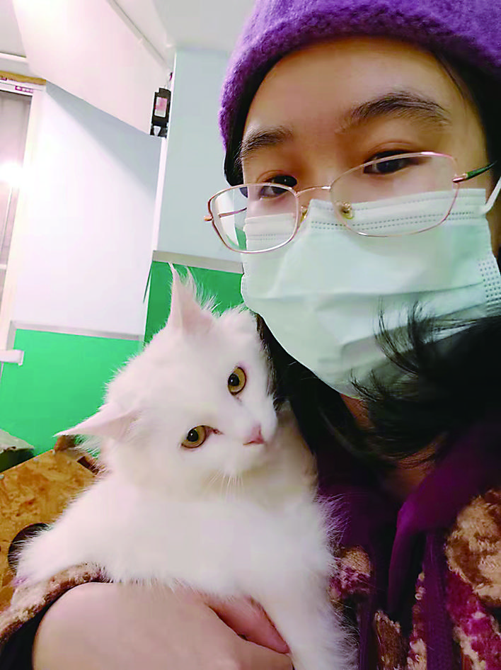 上门撸猫,免费撸猫怎么挣钱