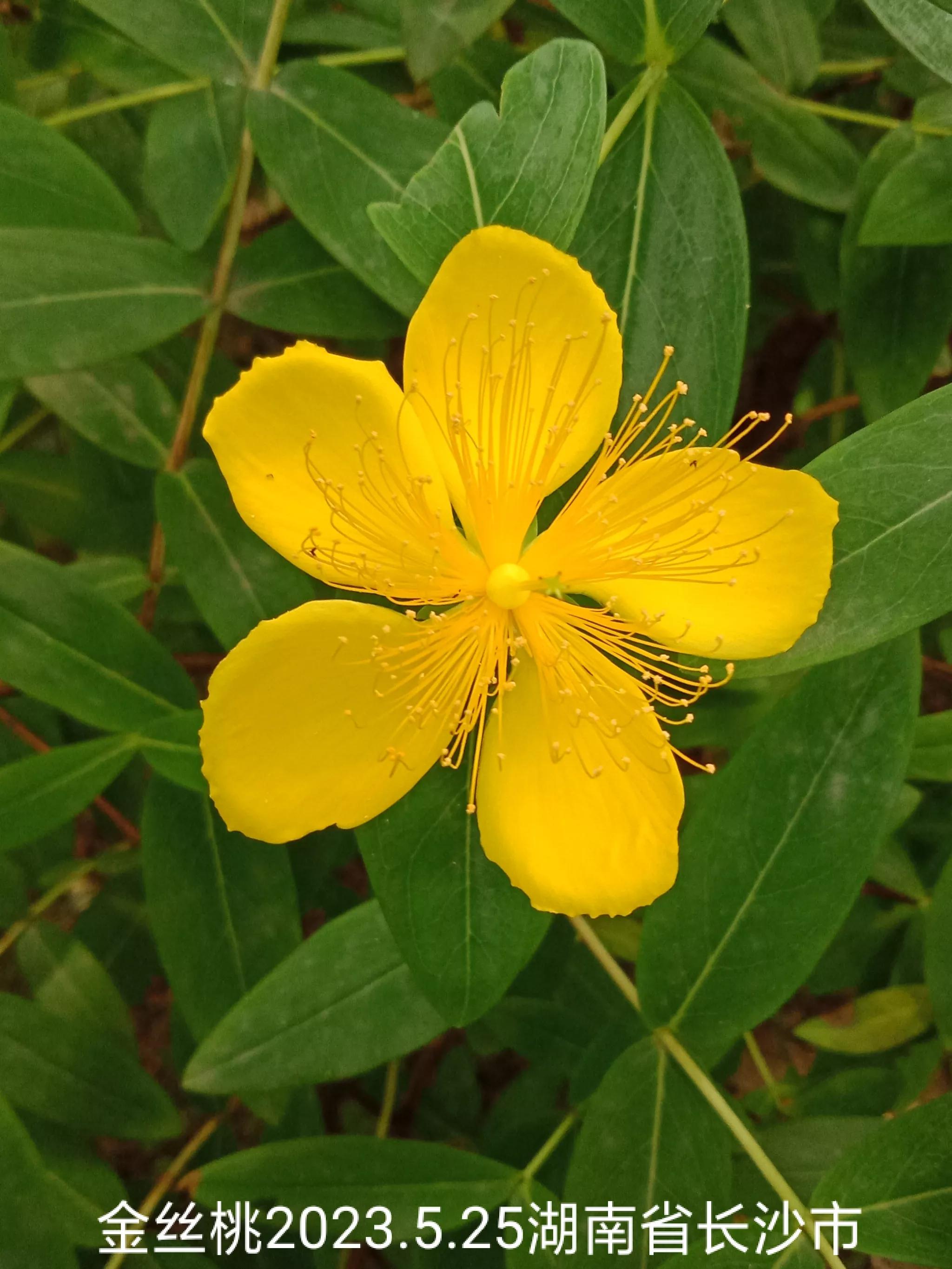 微信群忘保存找不到怎么办,微信群没保存通讯录丢失怎么找回