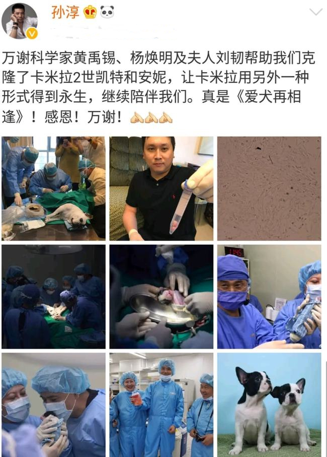 内娱10对丁克夫妻，各有各的故事，4对后悔了，1对孩子已经9岁了